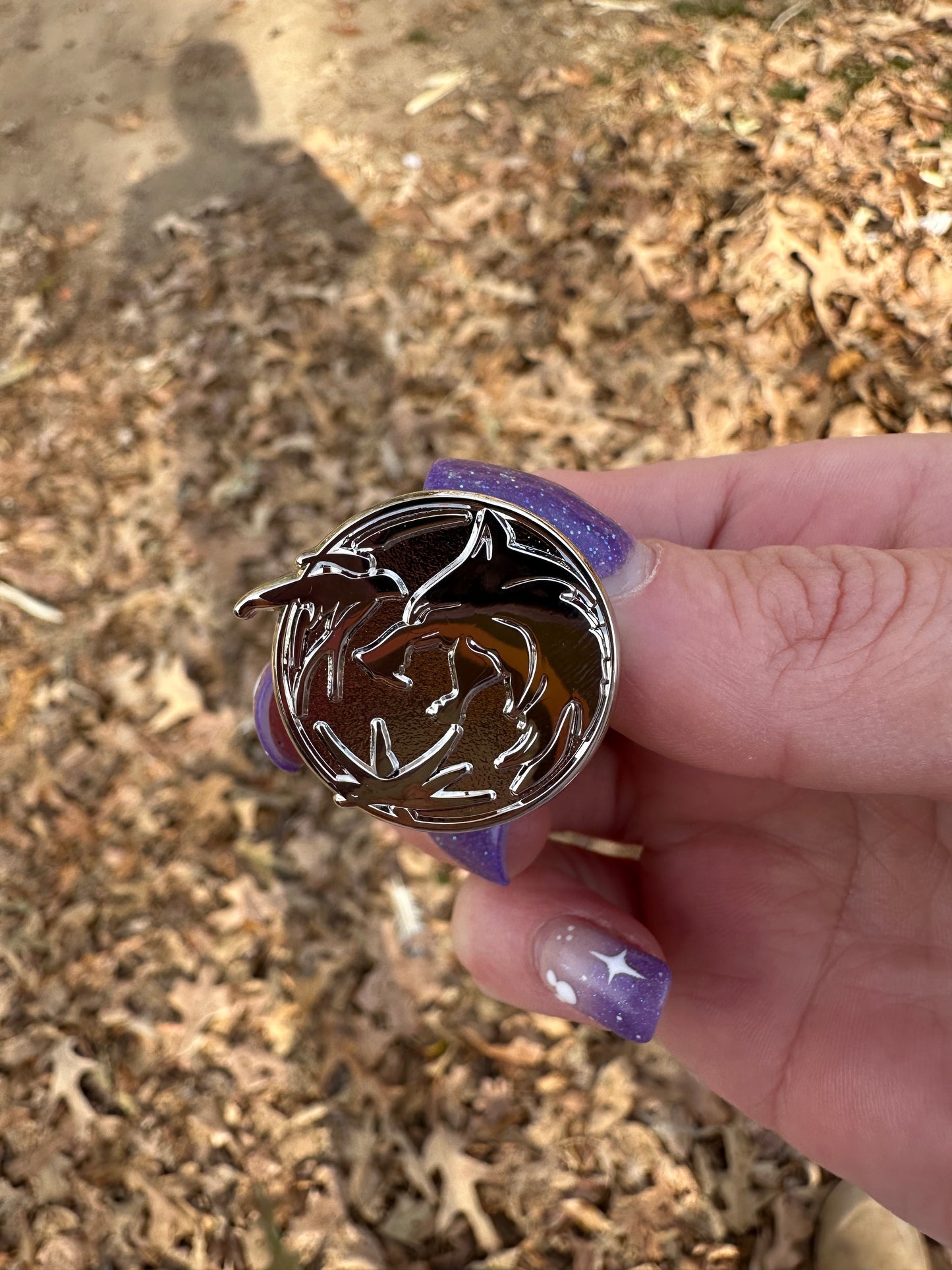 The Witcher Silver